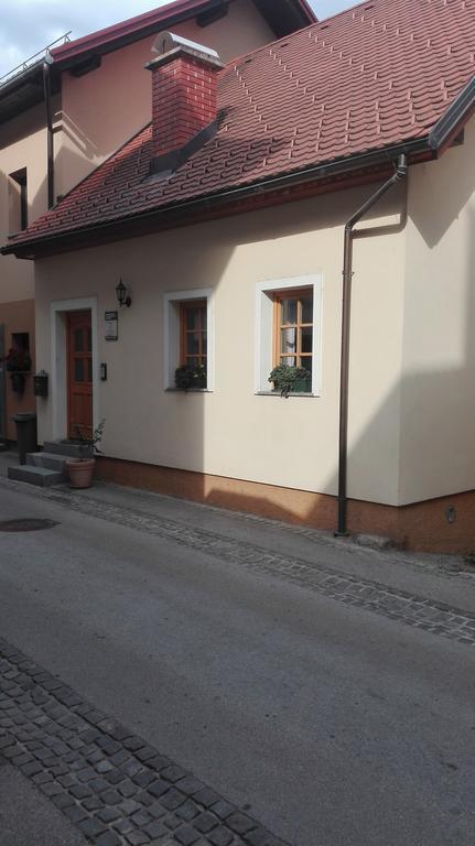 Apartma Tim Music Apartment Crnomelj Exterior photo